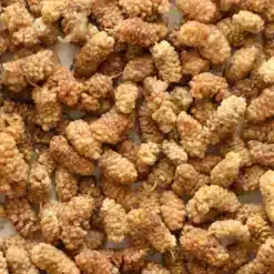 Dried white mulberry