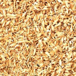 بهار نارنج قیمت تواضع