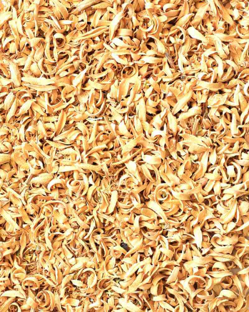 بهار نارنج قیمت تواضع