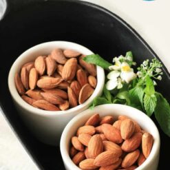 قیمت و خرید مغز بادام تواضع در آلمان