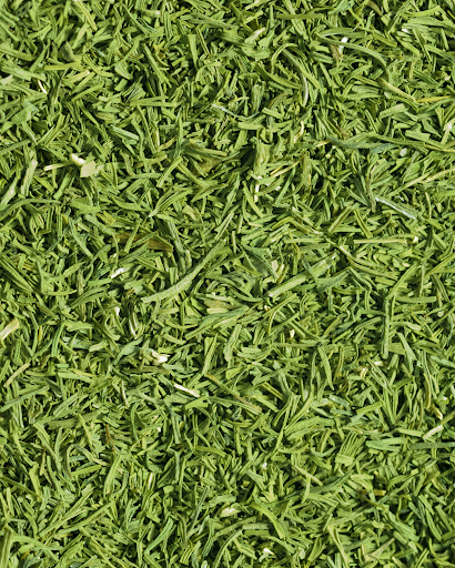 Trockenkräuter online