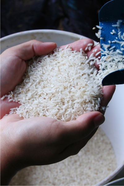 Freezing for Long-Term Storage