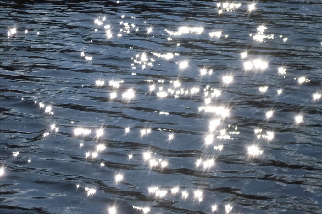 پایکوبی و سرور