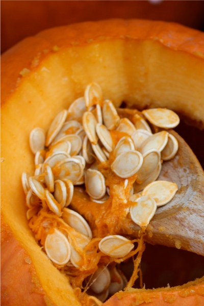 ارزش غذایی کدو تنبل