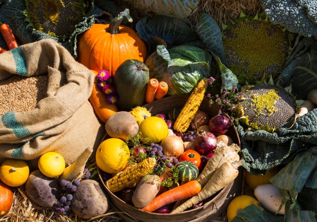 چرخه های کشاورزی