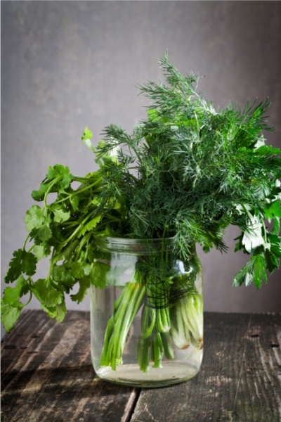 A clear glass jar filled with vibrant, fresh herbs