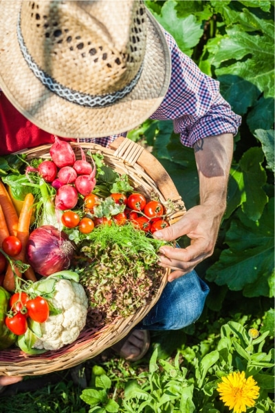 A man stands holding a basket overflowing with fresh, colorful vegetables