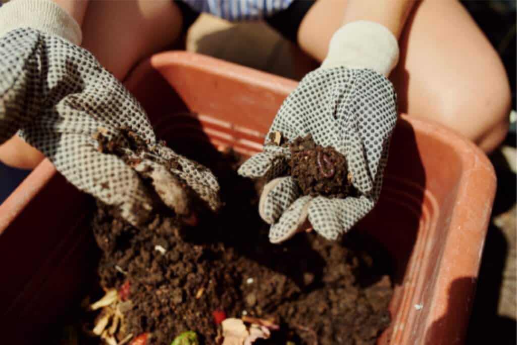 A gloved individual holds a container of soil, ready for planting or gardening tasks.