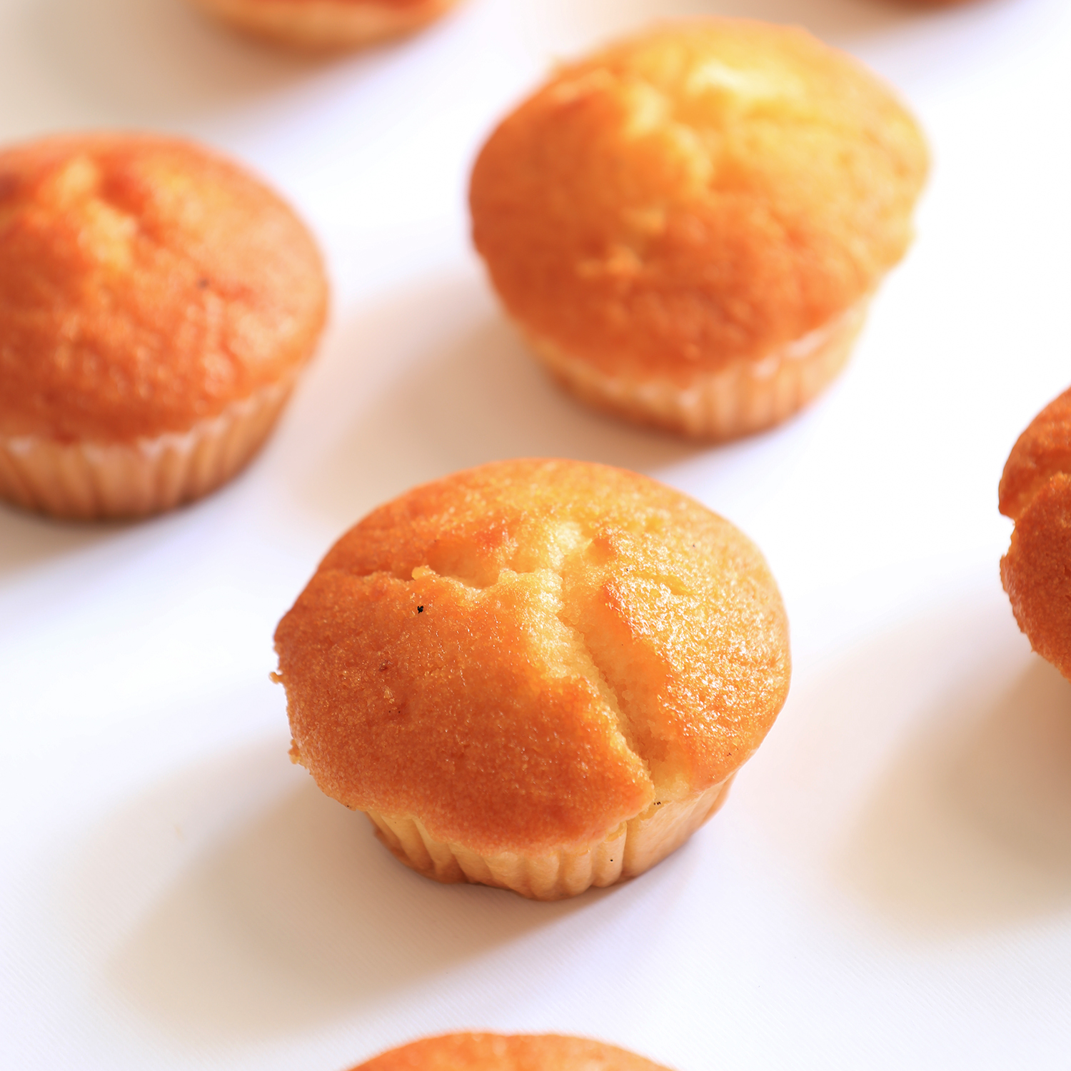 Cupcake(Packung mit 6 Stück) – Bild 2